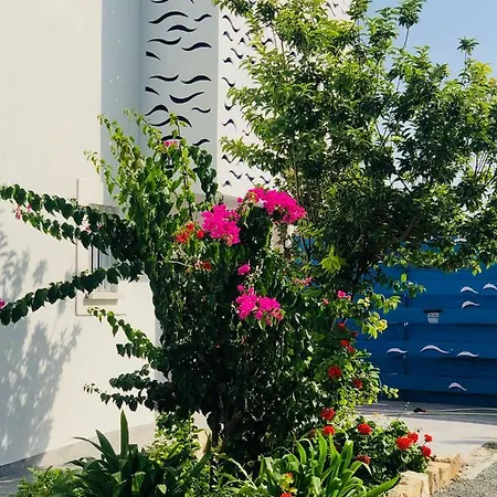 Apartamento Governors Costas Apts *
