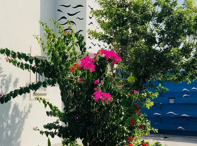 アパート Governors Costas Apts *